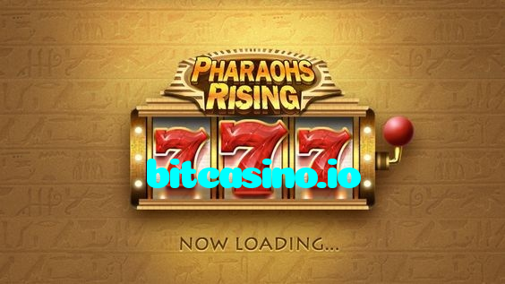 available types of bitcasino.io bet including pre-match live express and system bets